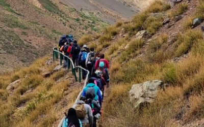 Recorriendo la Región con enfoque medioambiental: Valparaíso Trekking