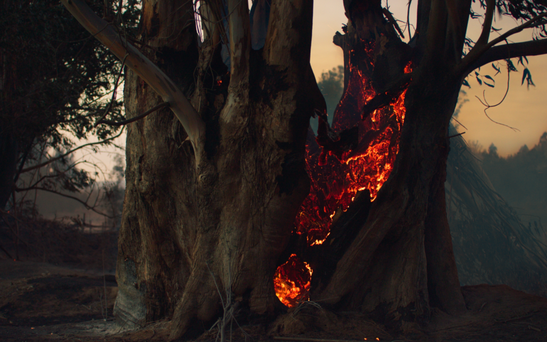 “Pirópolis”: documental sobre bomberos de Valparaíso se exhibirá al aire libre